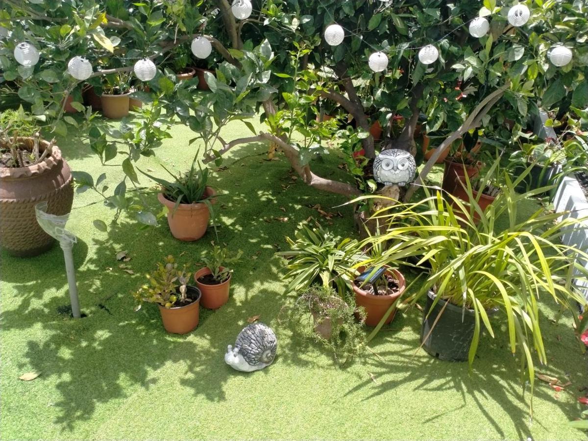 Casa Nine Con Piscina Vacacional La Palma Apartman Breña Baja Kültér fotó